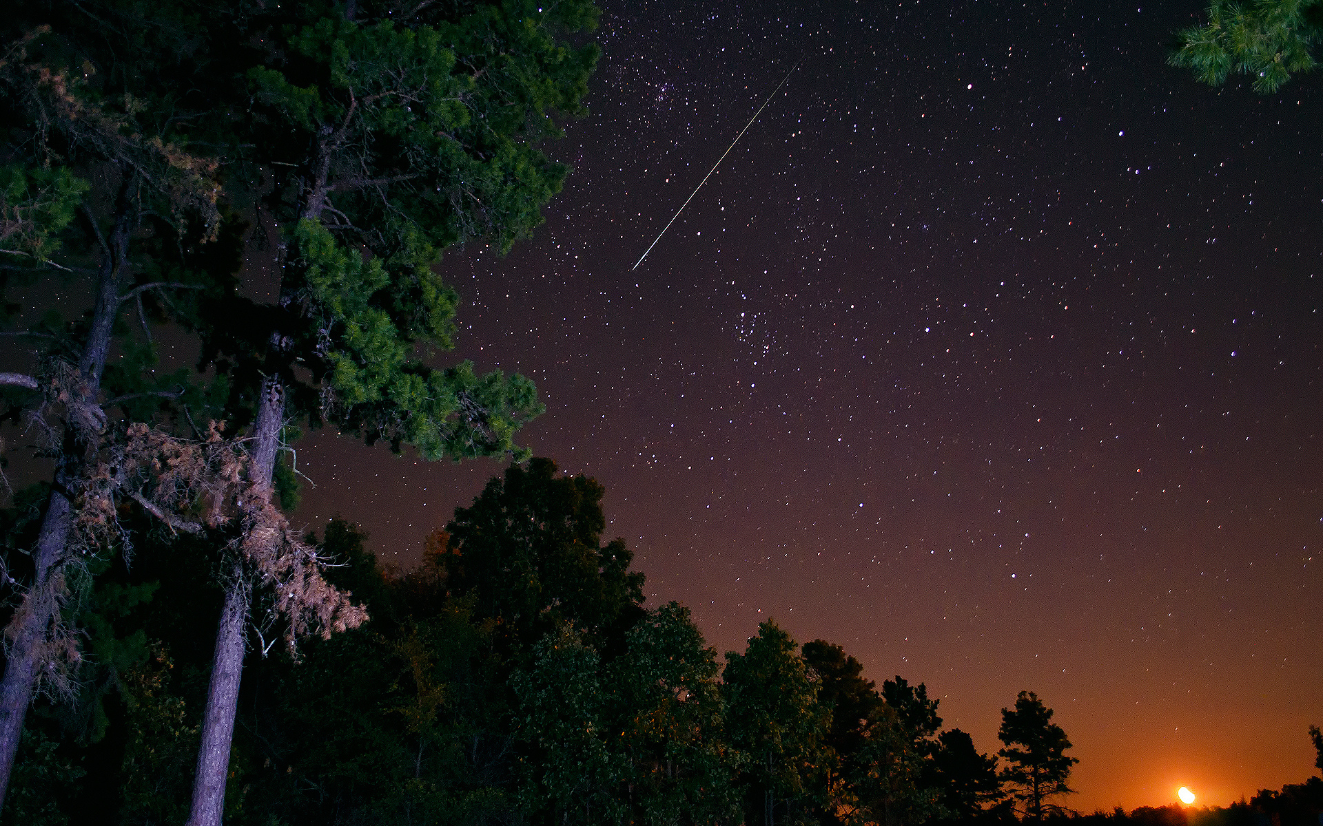 sky, Night, Stars, Comet, Meteor, Sunset, Trees, Space Wallpaper