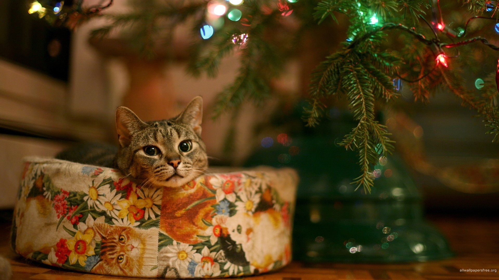 merry, Christmas, Holiday, Winter, Snow, Beautiful, Tree, Gift, Santa Wallpaper
