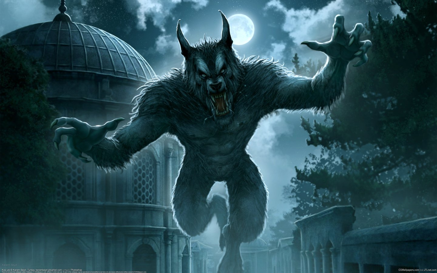 wolf Wallpaper
