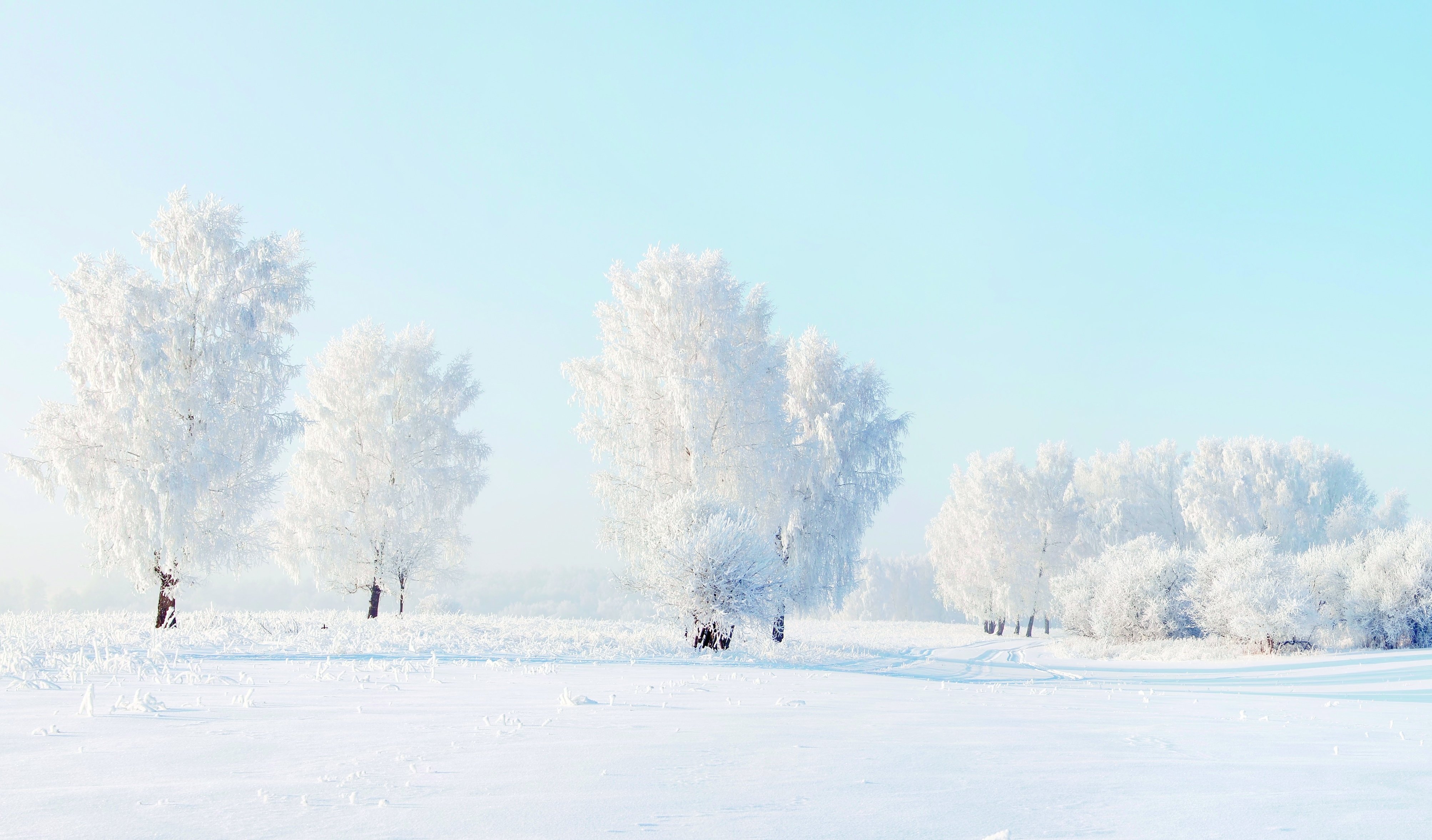 winter, Nature, Snow, Beautiful, Lovely, Landscape, Landscapes Wallpaper