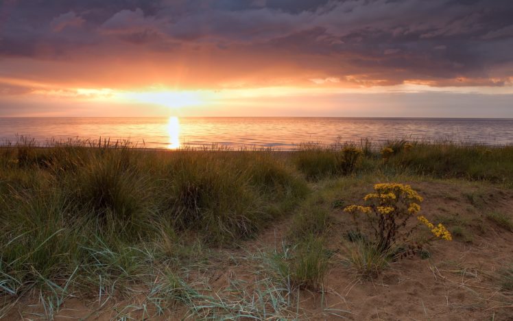 water, Sunset, Ocean, Clouds, Landscapes, Nature, Coast, Sun, England, Grass, United, Kingdom, Sea HD Wallpaper Desktop Background