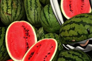 watermelon, Melon, Fruit, Red, Bokeh