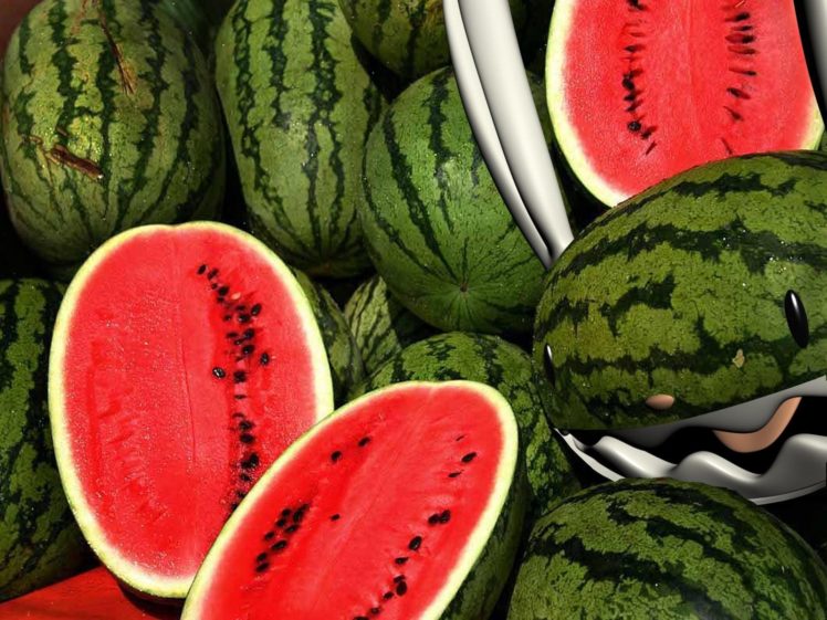 watermelon, Melon, Fruit, Red, Bokeh HD Wallpaper Desktop Background