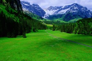 green, Landscapes, Switzerland