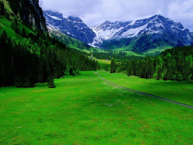 green, Landscapes, Switzerland HD Wallpaper Desktop Background