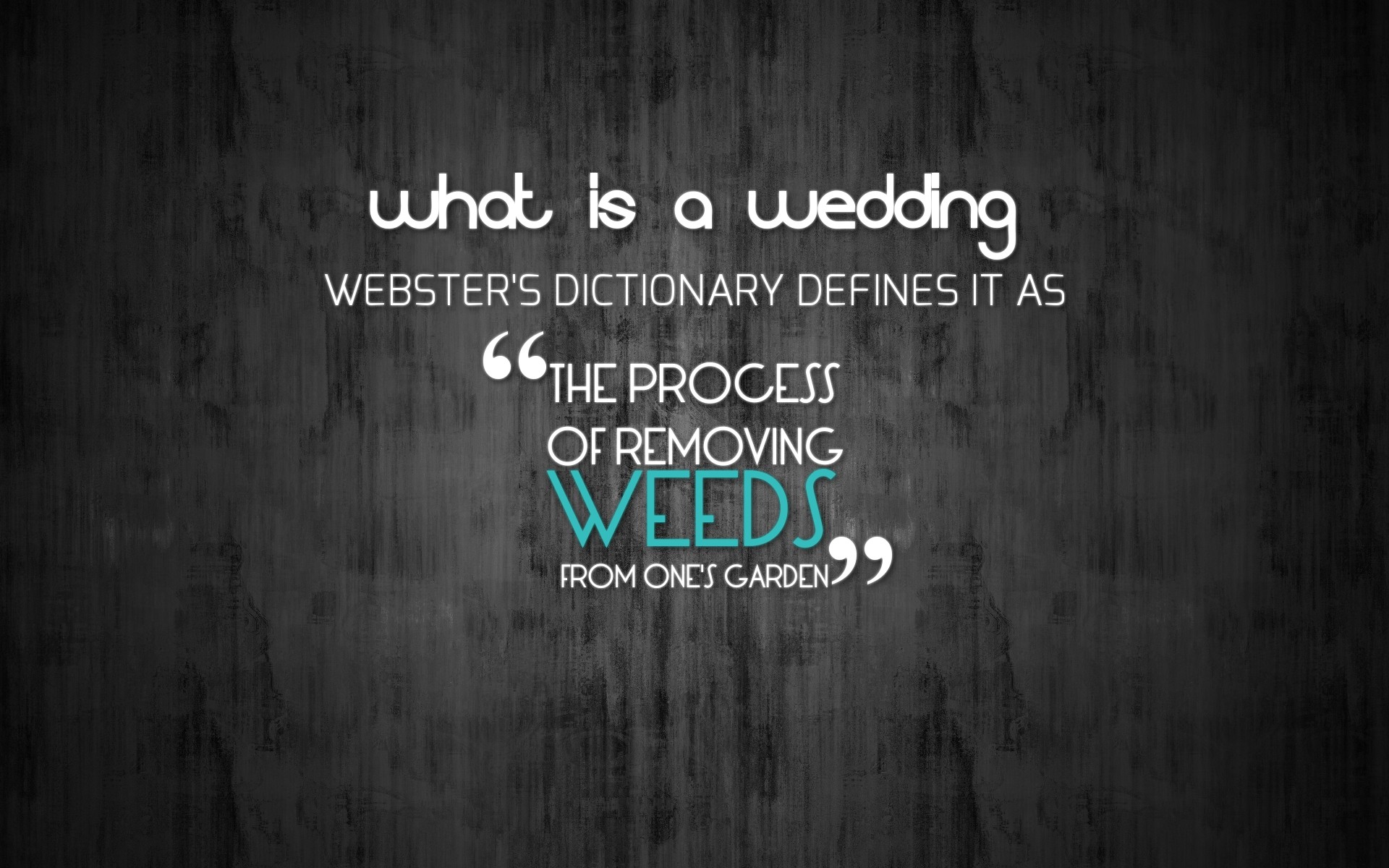 text, Quotes, Funny, Wedding Wallpaper