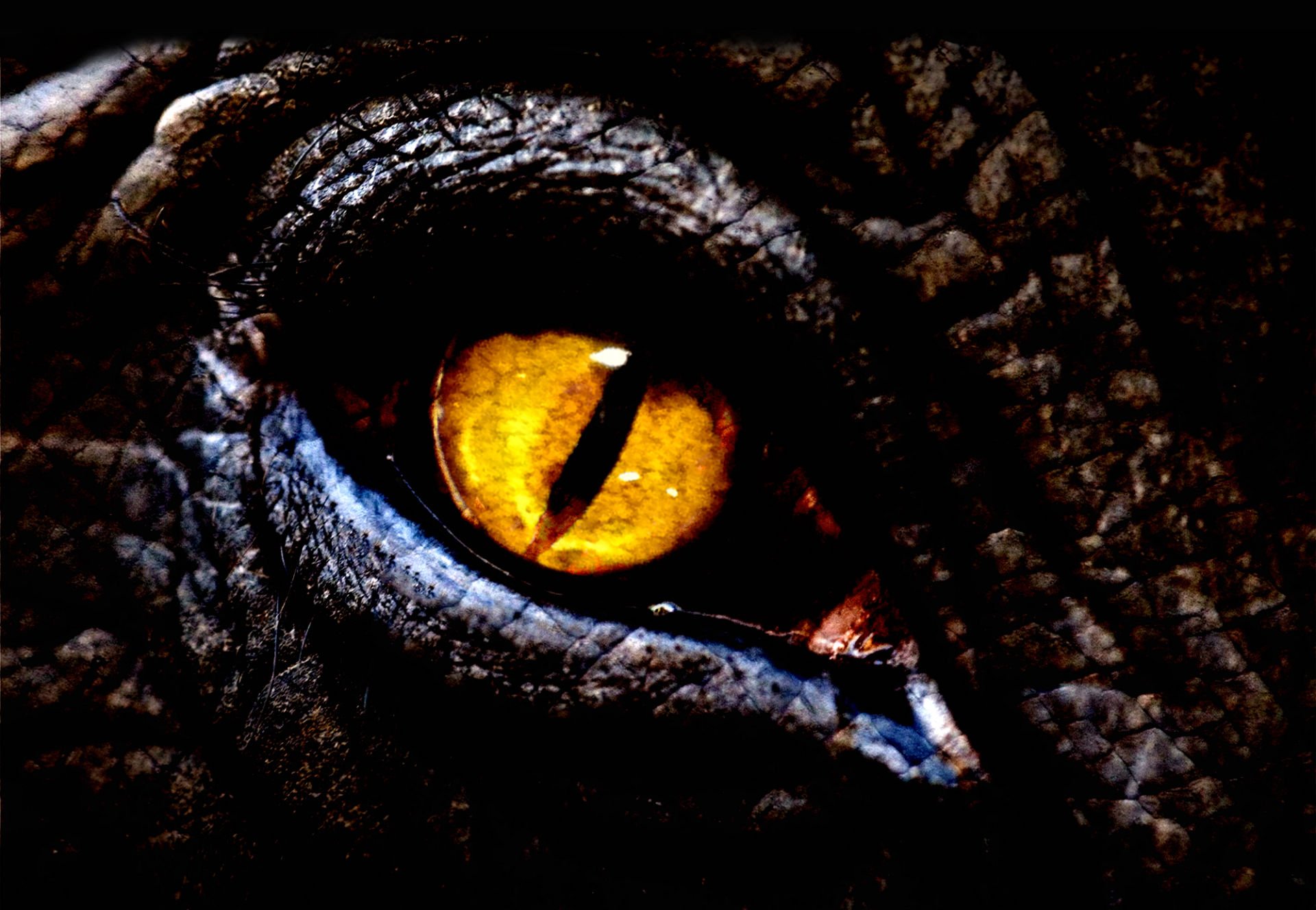 jurassic, World, Adventure, Sci fi, Dinosaur, Action, Adventure, Fantasy Wallpaper