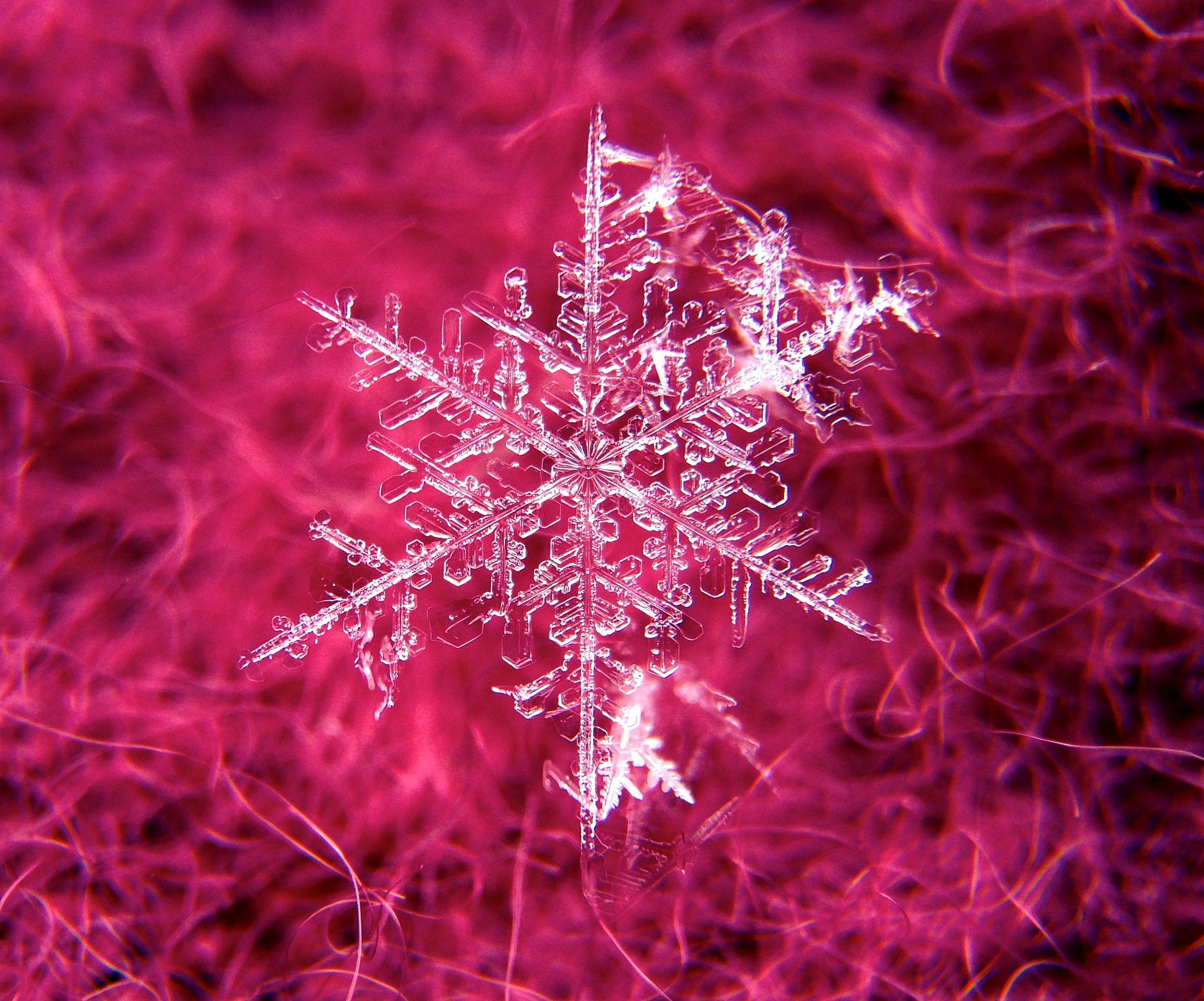 nature, Ice, Winter, Macro, Textures, Reflexions, Sculptures, Water, Art, Frozen Wallpaper