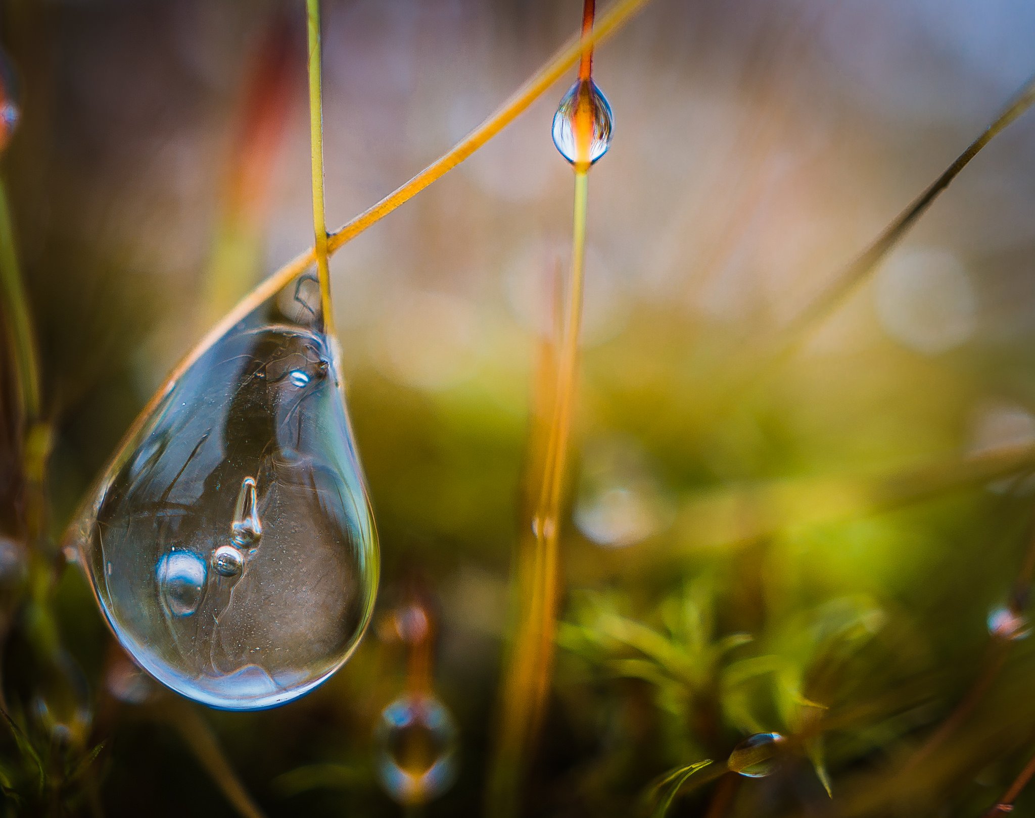 nature, Ice, Winter, Macro, Textures, Reflexions, Sculptures, Water, Art, Frozen Wallpaper