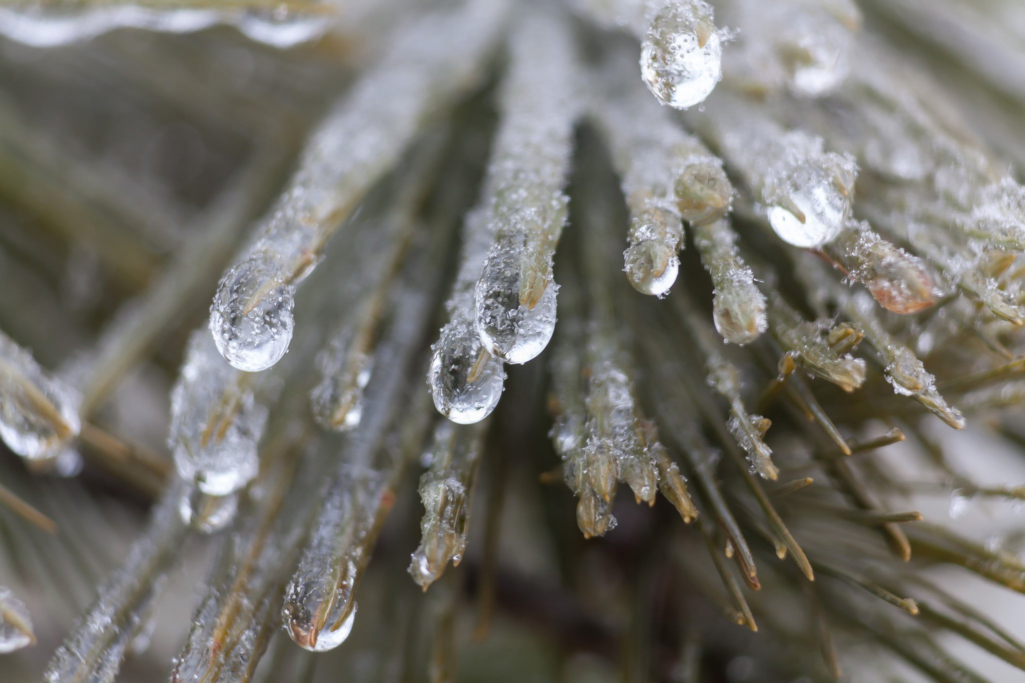 nature, Ice, Winter, Macro, Textures, Reflexions, Sculptures, Water, Art, Frozen Wallpaper