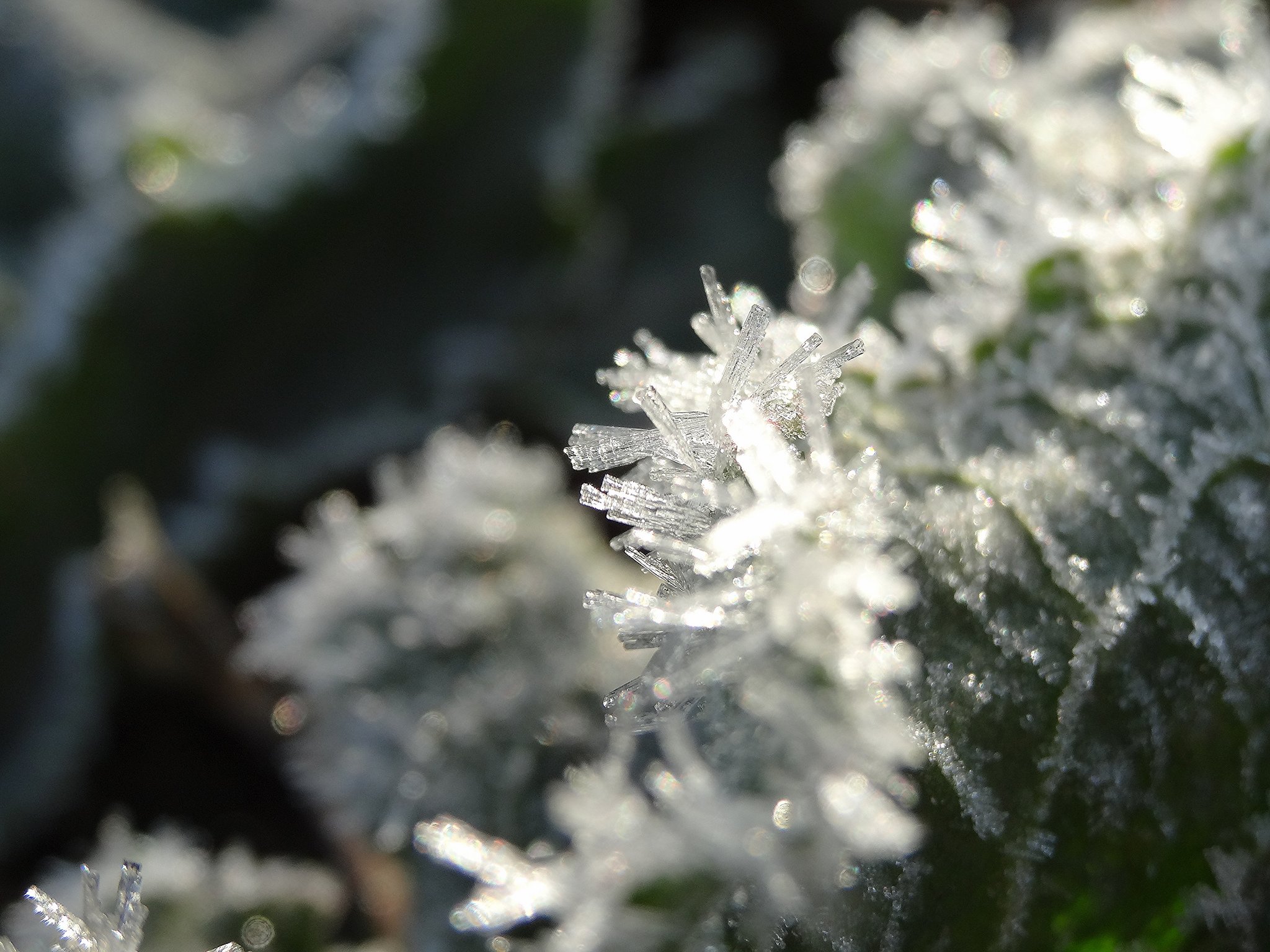 nature, Ice, Winter, Macro, Textures, Reflexions, Sculptures, Water, Art, Frozen Wallpaper