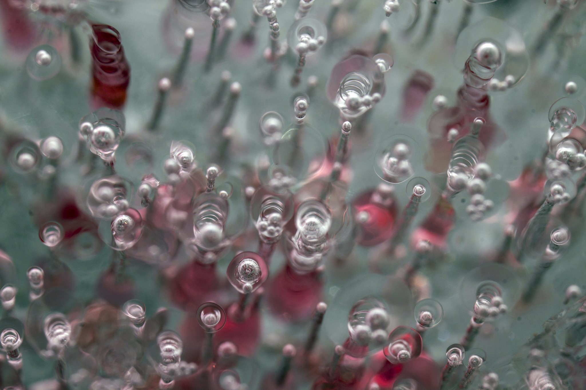 nature, Ice, Winter, Macro, Textures, Reflexions, Sculptures, Water, Art, Frozen Wallpaper