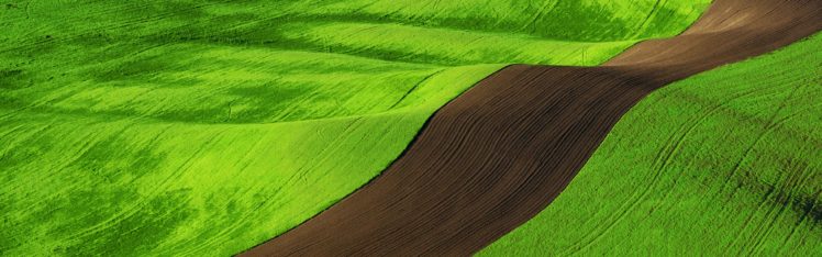 landscapes, Fields, Windows HD Wallpaper Desktop Background