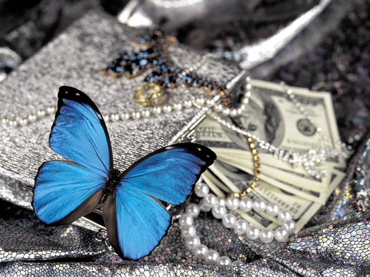 butterfly, Money HD Wallpaper Desktop Background