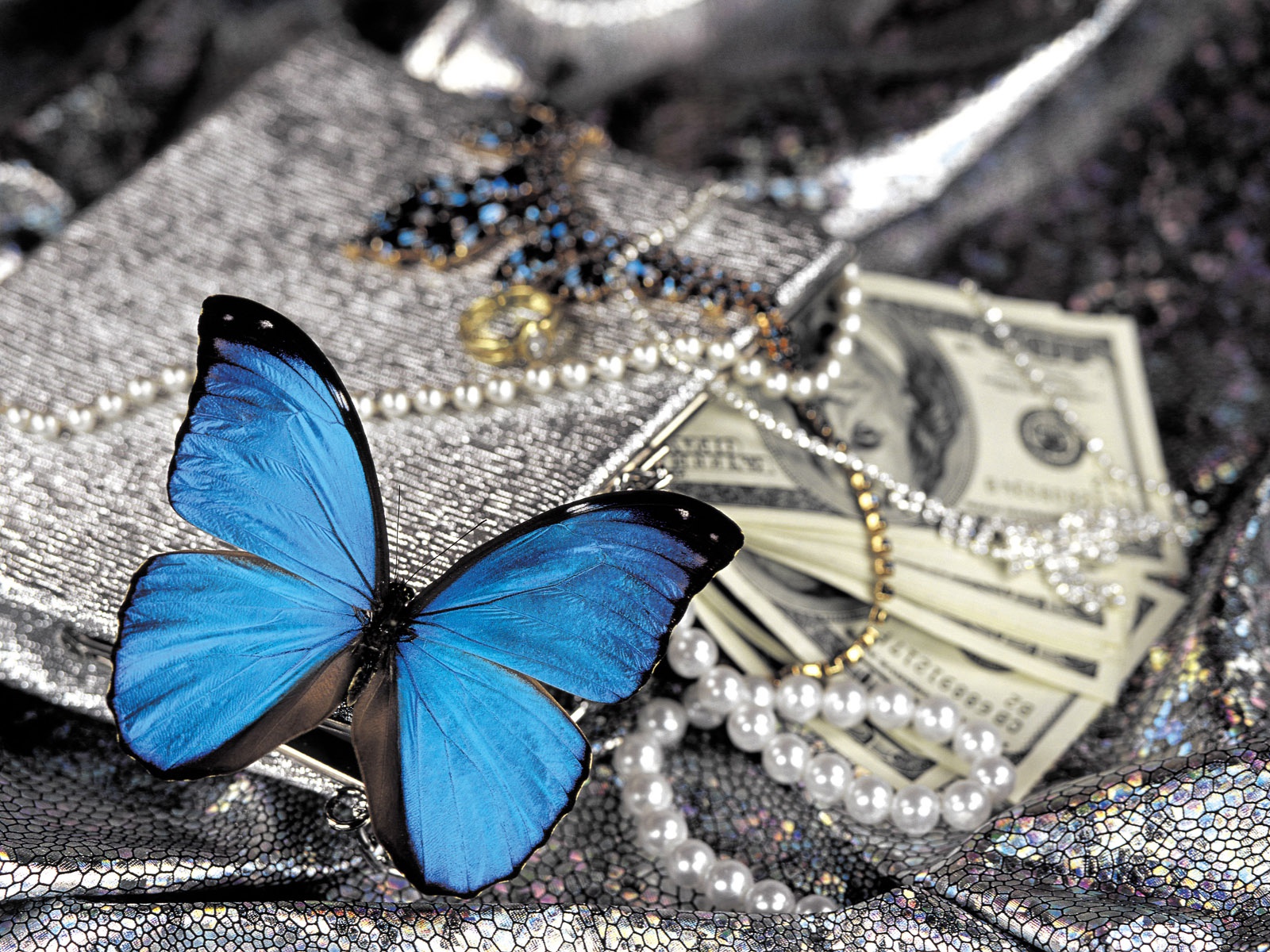 butterfly, Money Wallpaper