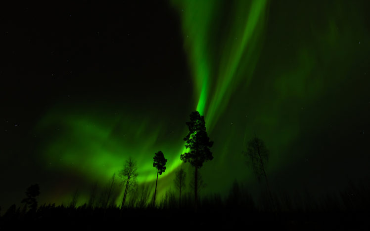 aurora, Borealis, Northern, Lights, Night, Green, Trees, Stars, Sky, Landscapes HD Wallpaper Desktop Background