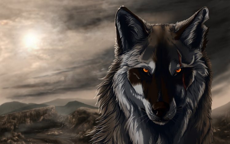 wolf, Wallpaper, Hd Wallpapers HD / Desktop and Mobile Backgrounds