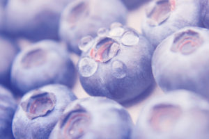 blueberry, Fruit, Macro, Warm, Water, Drops, Purple
