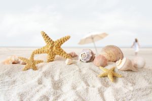 beach, Sand, Starfish, Seashells, Depth, Of, Field, Umbrellas