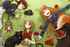 spice, And, Wolf, Animal, Ears, Holo, The, Wise, Wolf, Apples