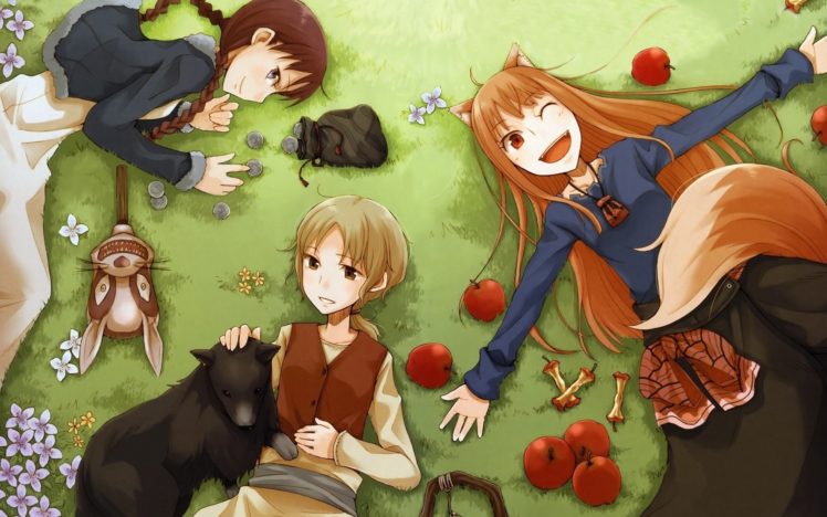spice, And, Wolf, Animal, Ears, Holo, The, Wise, Wolf, Apples HD Wallpaper Desktop Background