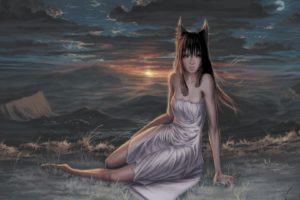 spice, And, Wolf, Dress, Animal, Ears, Artwork, Holo, The, Wise, Wolf, Inumimi, Anime, Girls