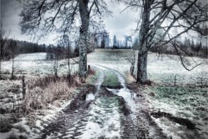 road, Trees, Field, Snow, Puddle, Landscape, Winter
