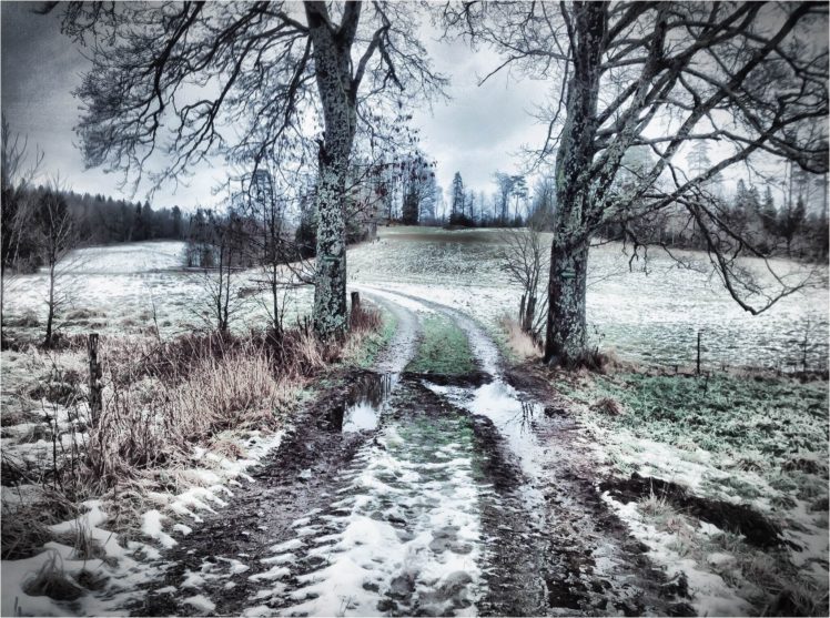 road, Trees, Field, Snow, Puddle, Landscape, Winter HD Wallpaper Desktop Background