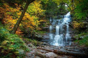 waterfall, Cascade, River, Forest, Autumn, Stones, Pennsylvania