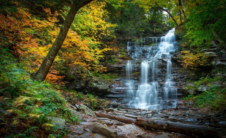 waterfall, Cascade, River, Forest, Autumn, Stones, Pennsylvania HD Wallpaper Desktop Background