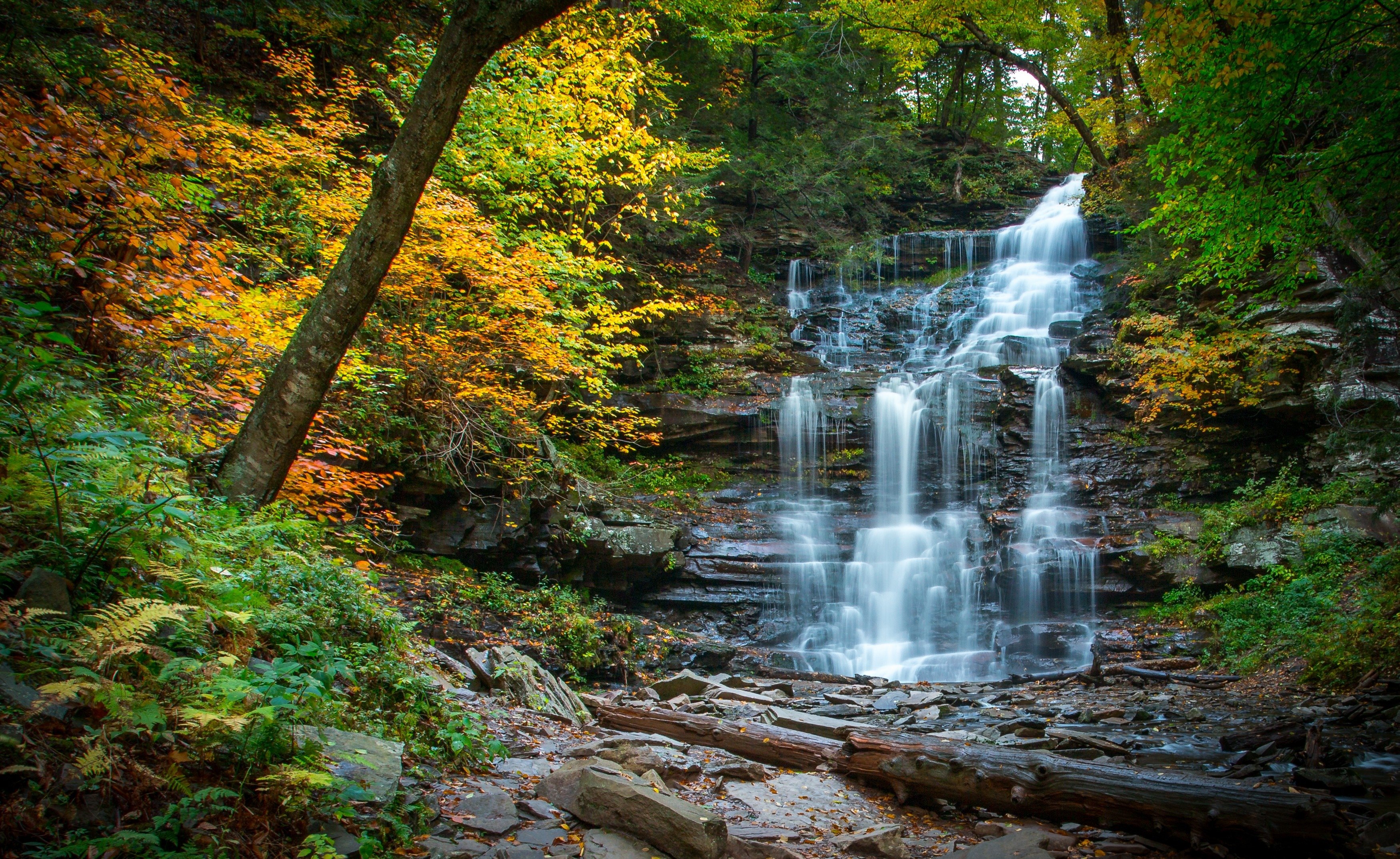 waterfall, Cascade, River, Forest, Autumn, Stones, Pennsylvania Wallpaper