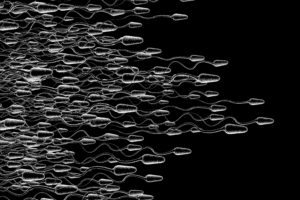 sperm, Abstraction, Abstract, Bokeh, Life, Sex, Sexual, Medical, Dna, Male, Man, Men, 1sperm, Mating, Psychedelic, Egg, Cell, Eggs, Swim, Swimming, Vector