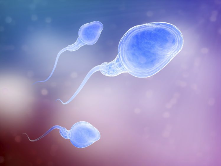 sperm, Abstraction, Abstract, Bokeh, Life, Sex, Sexual, Medical, Dna, Male, Man, Men, 1sperm, Mating, Psychedelic, Egg, Cell, Eggs, Swim, Swimming, Vector HD Wallpaper Desktop Background