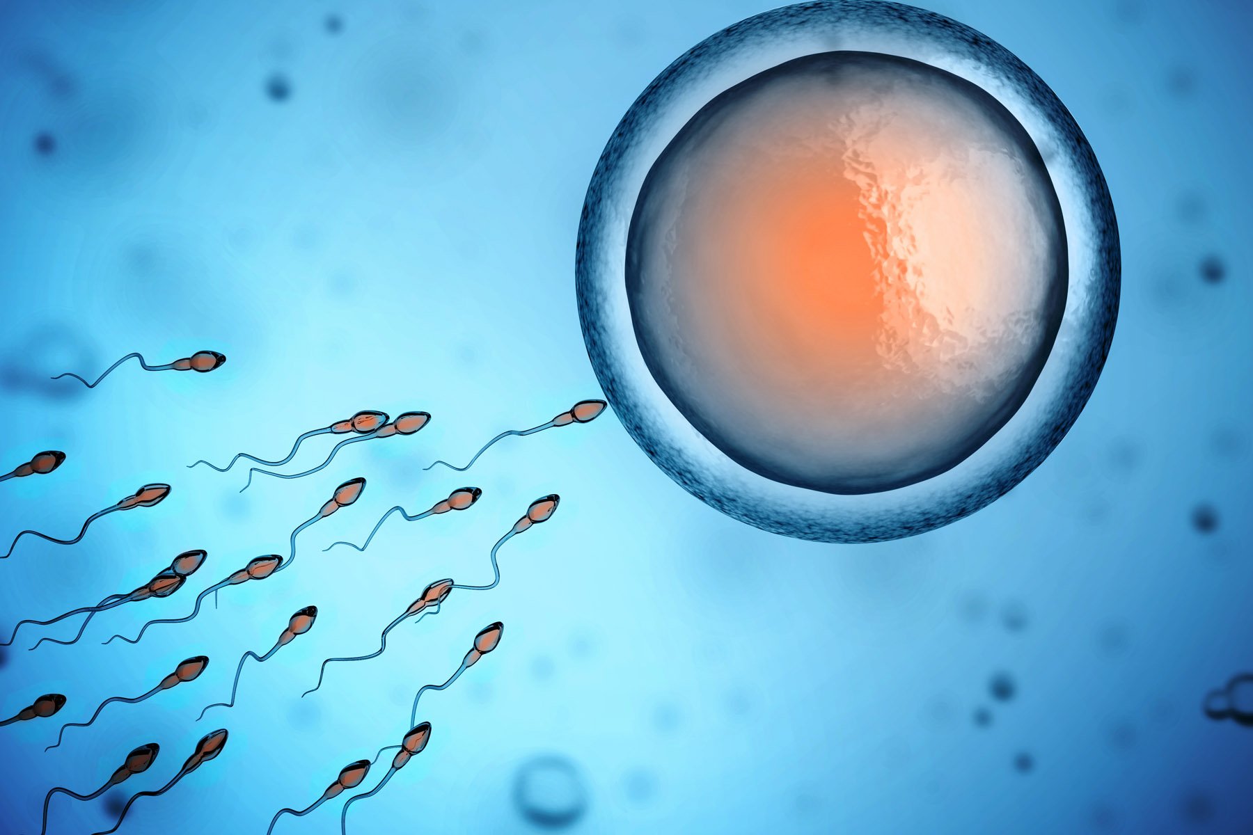 sperm, Abstraction, Abstract, Bokeh, Life, Sex, Sexual, Medical, Dna, Male, Man, Men, 1sperm, Mating, Psychedelic, Egg, Cell, Eggs, Swim, Swimming, Vector Wallpaper
