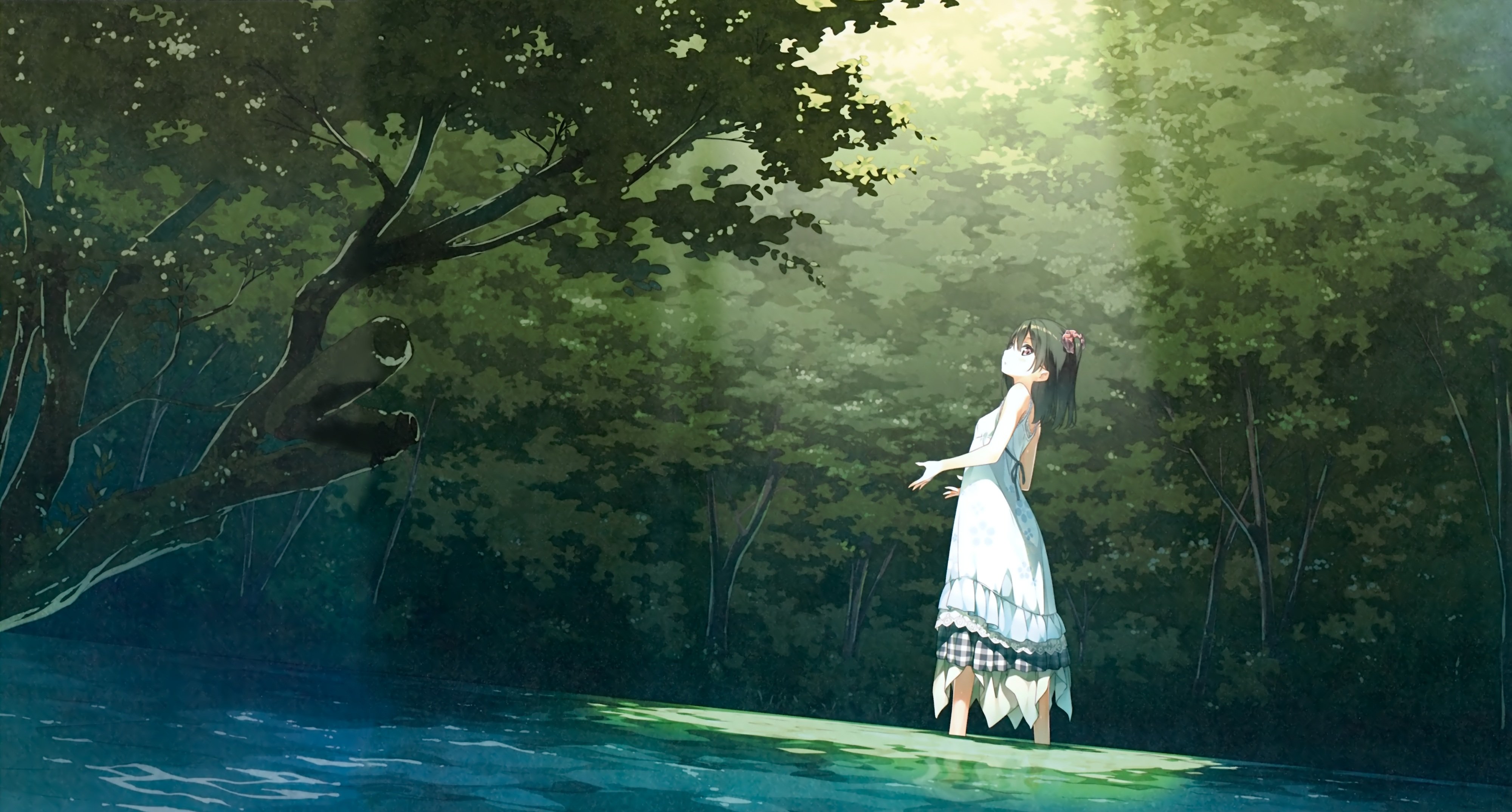nenme, No, Houkago, Black, Hair, Dress, Forest, Kantoku, Original, Scan