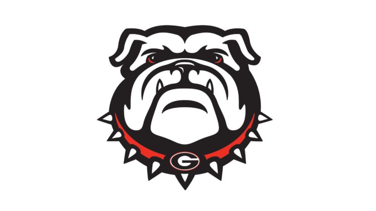 georgia, Bulldogs, College, Football HD Wallpaper Desktop Background
