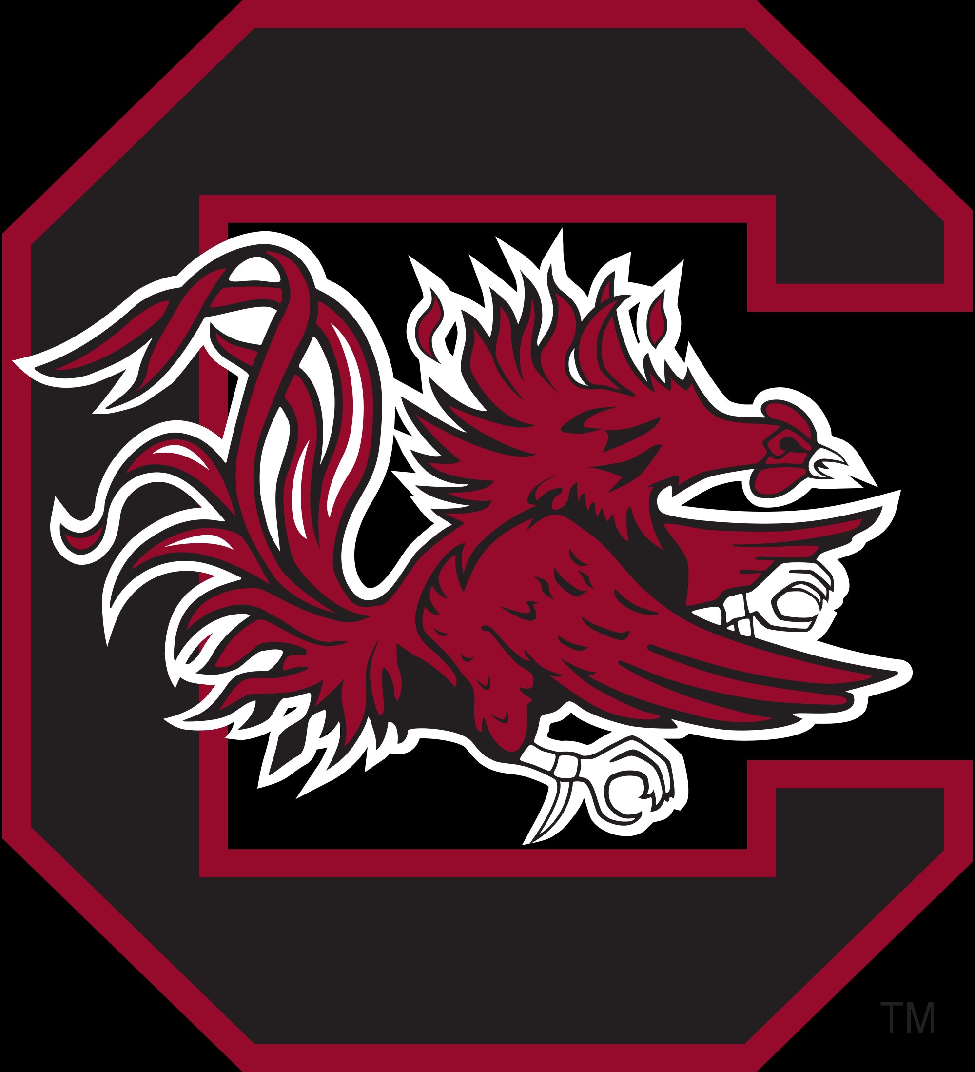 south, Carolina, Gamecocks, College, Football Wallpaper