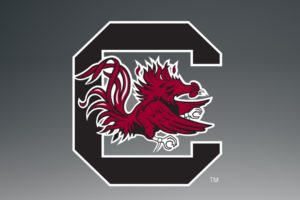 south, Carolina, Gamecocks, College, Football