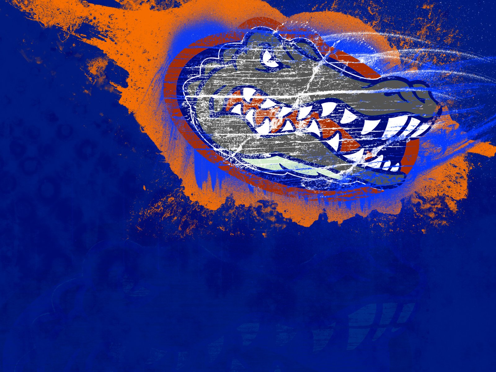 florida, Gators, College, Football Wallpapers HD / Desktop and Mobile