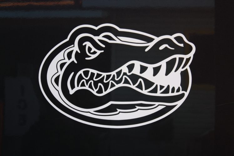 florida, Gators, College, Football HD Wallpaper Desktop Background