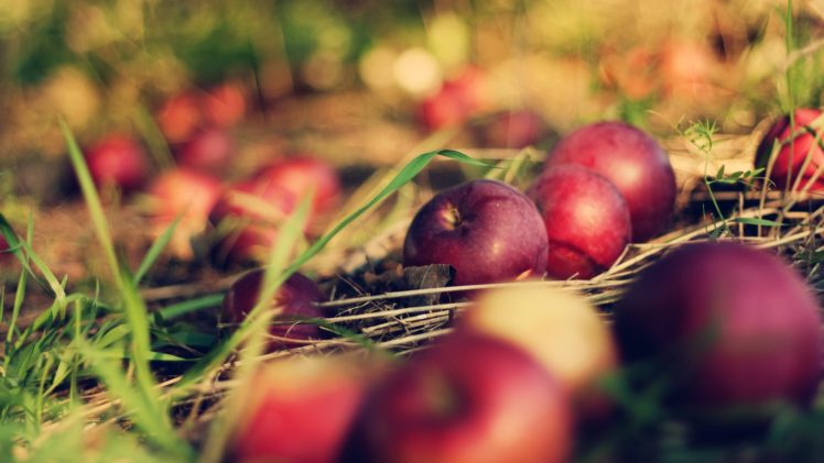 fruits, Grass, Apples HD Wallpaper Desktop Background