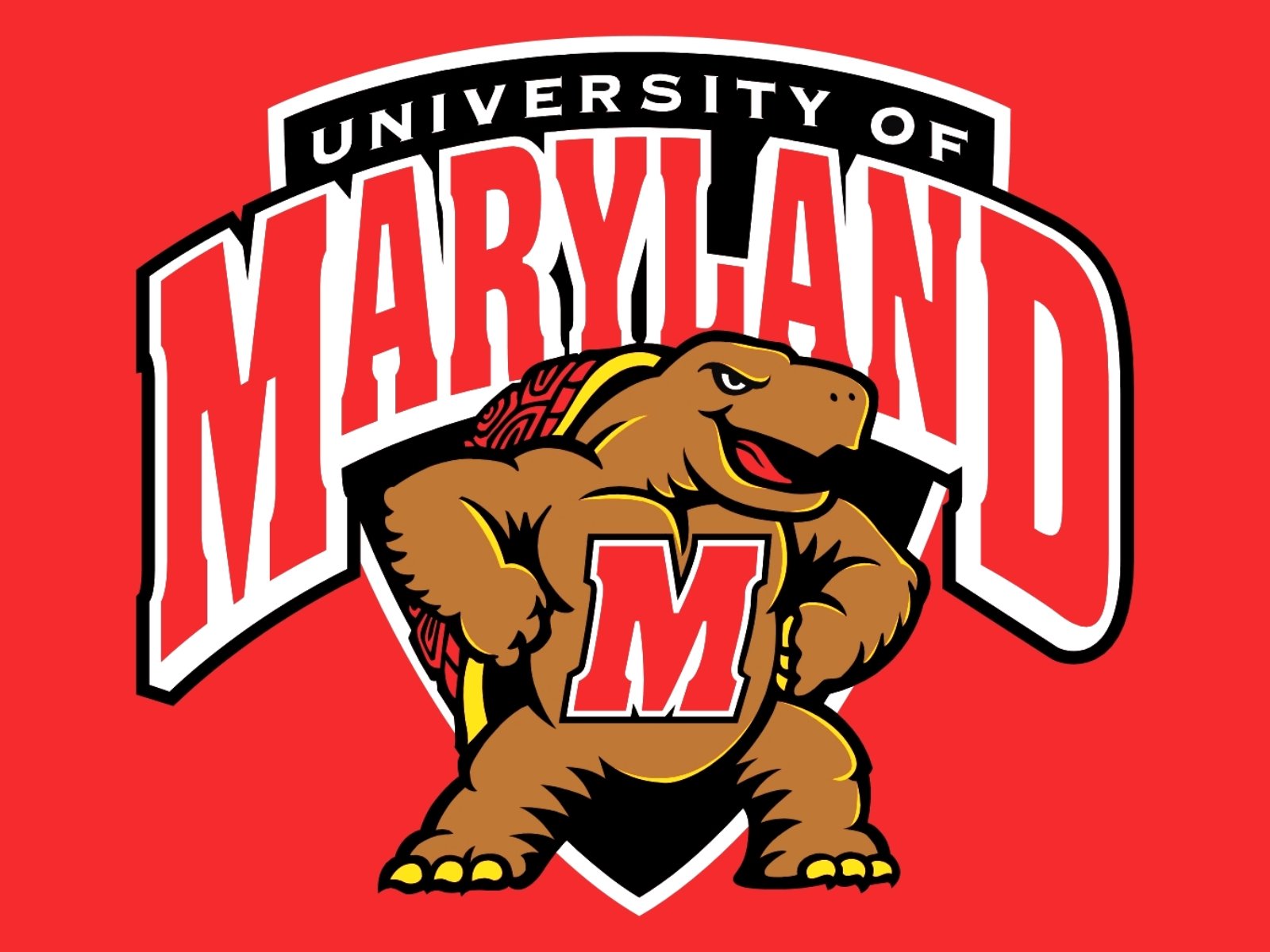 maryland, Terrapins, College, Football Wallpapers HD / Desktop and ...