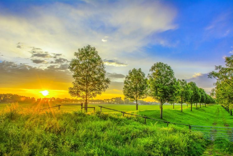 scenery, Sunrise, And, Sunset, Field, Trees, Nature HD Wallpaper Desktop Background