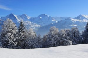 switzerland, Seasons, Winter, Mountains, Fir, Nature