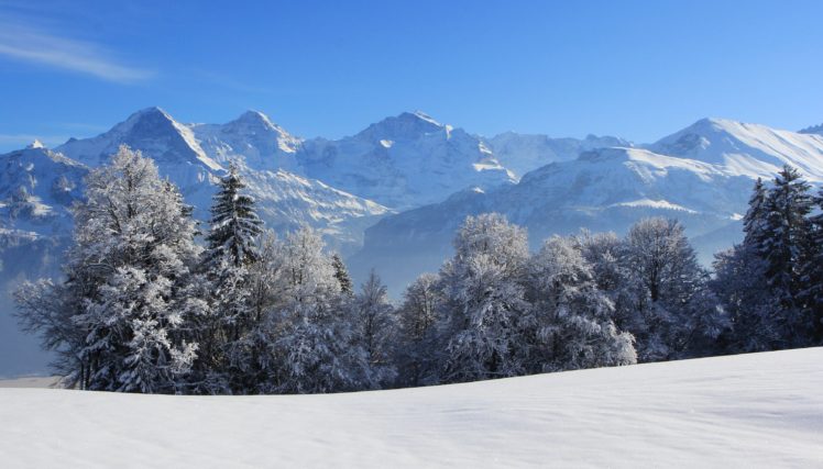 switzerland, Seasons, Winter, Mountains, Fir, Nature HD Wallpaper Desktop Background
