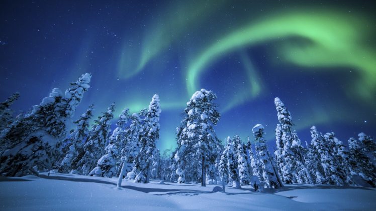 winter, Forest, Sky, Nature, Beautiful, Northern, Lights HD Wallpaper Desktop Background