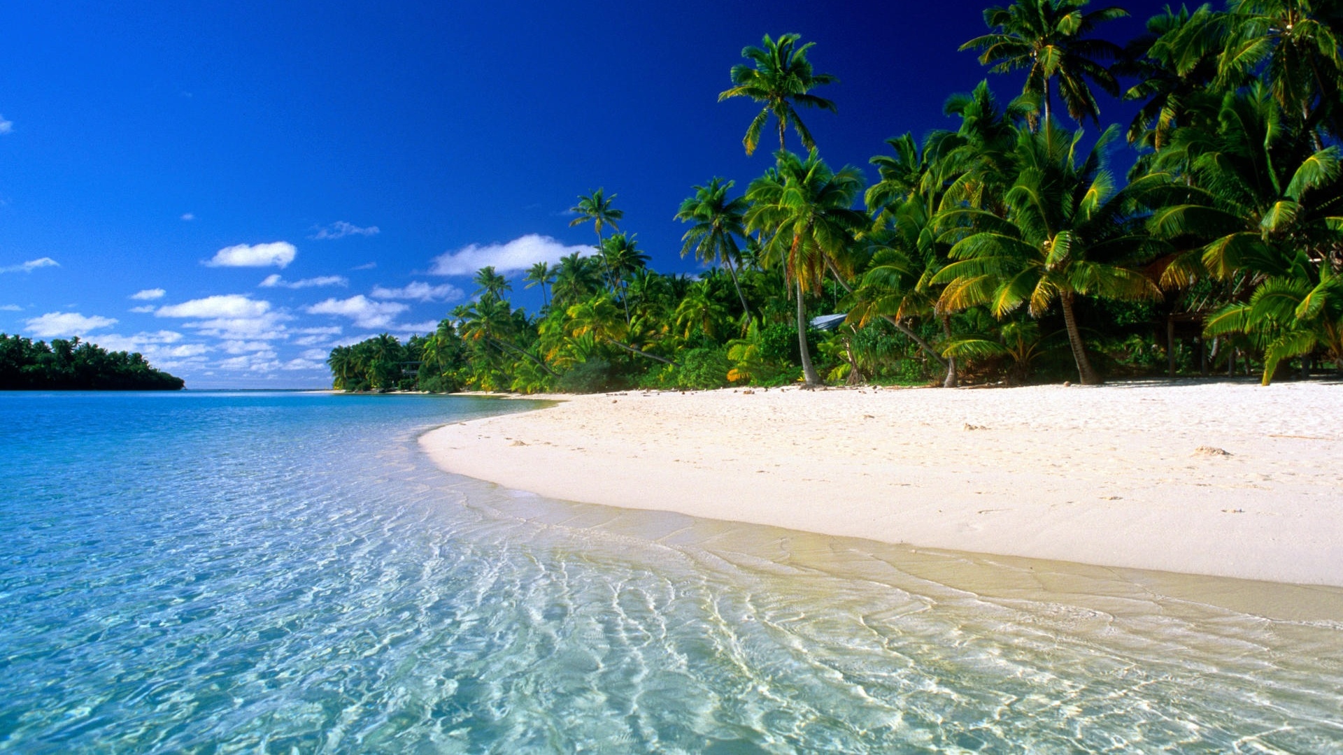 beach, Tropical Wallpaper