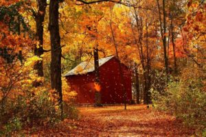 art,  , Autumn, Red, Maple, Forest, Cabins, Portrait