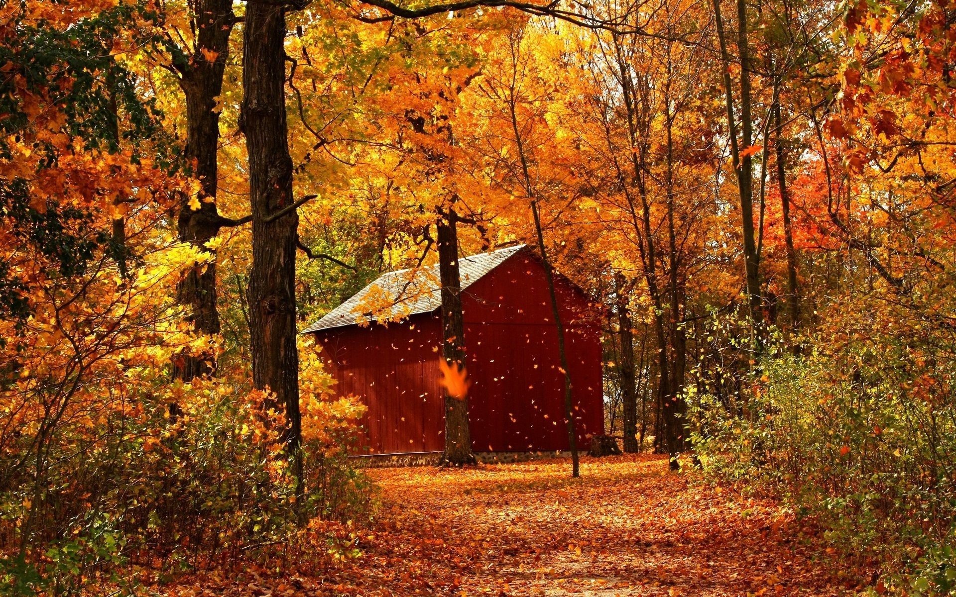 art,  , Autumn, Red, Maple, Forest, Cabins, Portrait Wallpaper