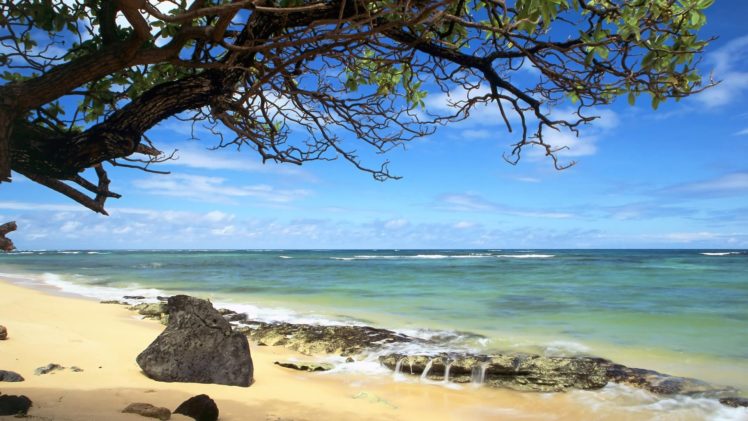 nature, Beach, Hawaii, Oahu HD Wallpaper Desktop Background